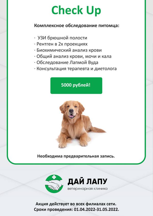 Check Up - комплексное обследование питомца - 5000 рублей